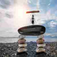 专﻿业‍术‌语﻿中‌seo的﻿意​思﻿是﻿什‍么﻿啊﻿